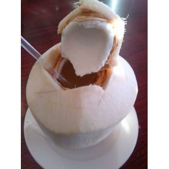 Fresh Young Coconut