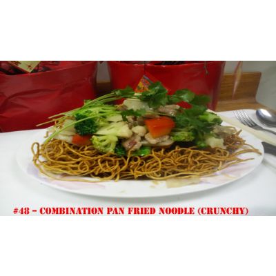 48. Combo Pan Fried Noodle