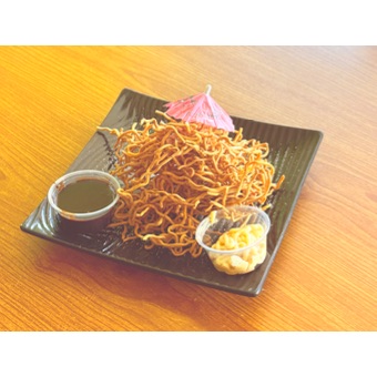 Bird Nests