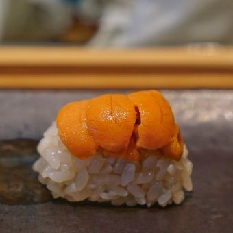 Sea Urchin (Uni)