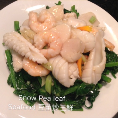 20A	Snow Pea Leaf w/ Seafood