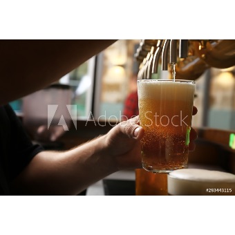 Cerveza Draft