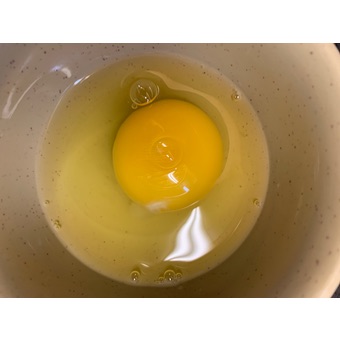 Egg