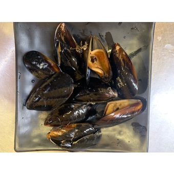 Mussel