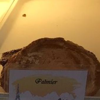 Palmier