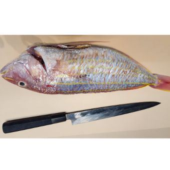 Itoyori (Golden Threadfin Bream) Sashimi 2pc