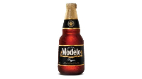 MODELO NEGRA