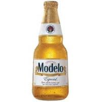 MODELO ESPECIAL